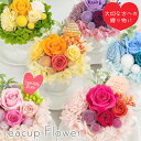 【スーパーセール 期間限定 半額 以上★】プリザーブドフラワー 誕生日 おしゃれ ティーカップ ミニ 青いバラ 赤いバラ 退職祝い 仏花 ペット 犬 猫 お供え 祝い バラ 小さめ お花 花 ケース 入り 枯れない花 内祝い 結婚祝い ブライダル かわいい 母の日