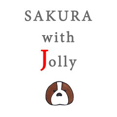 SAKURAwithJolly