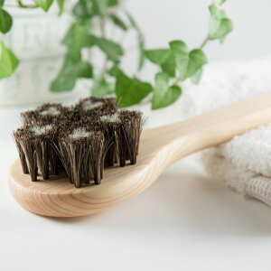 yyz󑐃A[guV nт̃{fBuVEuA_v 30.5cm j VR؃qmL