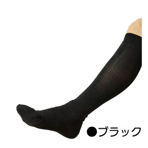 yyz ߂Ȃ |vAbvC 2 2J[ 6TCY si {