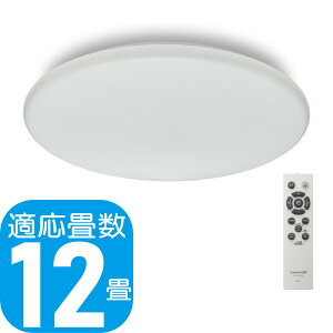 yyzLuminousLED 12p LEDV[OCg | E50-X12DS | 11iKF a50cm | ~iX 5Nۏ