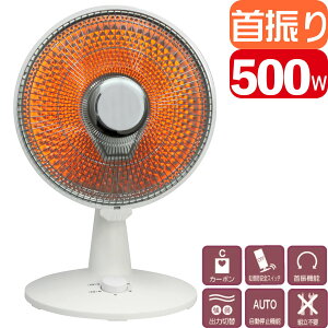 yyzSKJ ~jp{J[{q[^[ SKJ-WM50CC(W) zCg | 500W S48cm | GXPCWp 1Nۏ