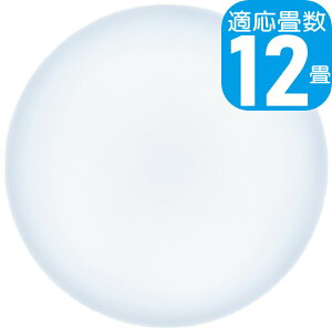 yyzLuminousLED 12p LEDV[OCg W50-W12DS | F11iK a50cm Sʔ | ~iX 5Nۏ
