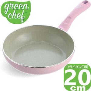 yyzGREENPAN O[VFt A[XJ[ tCp 20cm NH[csN CC005415-004 | IH/KXΑΉ O[p X^[^[V[Y