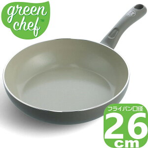 yyzGREENPAN O[VFt A[XJ[ tCp 26cm NH[cO[ CC005424-004 | IH/KXΑΉ O[p X^[^[V[Y
