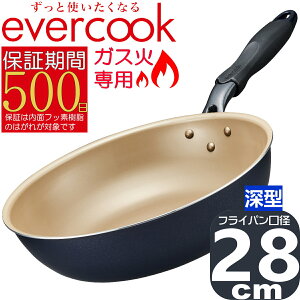 yyzevercook KXΐp y [^ tCp 28cm lCr[ EGDP28NV | Go[NbN 500ۏ