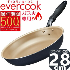 yyzevercook KXΐp y tCp 28cm lCr[ EGFP28NV | Go[NbN 500ۏ