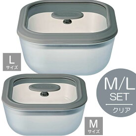 【あす楽】evercook エバークック 電子レンジ 調理器具 ガラス製 スクエア型 M L セット 2個 クリア 炊飯 オーブン 食洗器対応 時短 タイパ EGMWSM EGMWSL 耐熱 保存容器 グラタン 蒸し料理 ご飯が炊ける レシピ付き