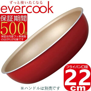 yyzevercook E IׂtCp22cm bh EIDFP22RD2 | IHΉ/KXΉ/SMΉ H@Ή | Go[NbN 500ۏ