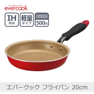 yyzGo[NbN tCp 20cm bhbEIFP20RD3 Ў yʉ SMΉ IHΉ PFOAsgp evercook 500ۏ hEVV