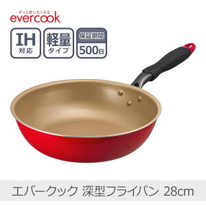 yyzGo[NbN [^ tCp 28cm bhbEIDP28RD3 Ў yʉ SMΉ IHΉ PFOAsgp evercook 500ۏ hEVV
