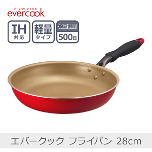 yyzGo[NbN tCp 28cm bhbEIFP28RD3 Ў yʉ SMΉ IHΉ PFOAsgp evercook 500ۏ hEVV