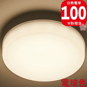 yyzLuminous LED ^Cg | dF 100W | ESL-V100L | a128*47mm | ~iX 1Nۏ