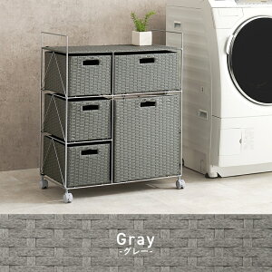  h[S 65cm S3F | RAN-2458 ^ pi 荞OK 5t hf LX^[t