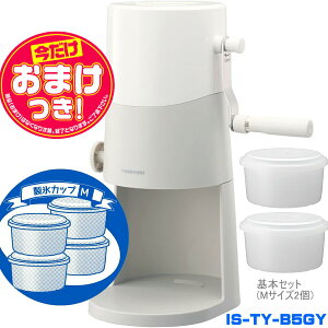 yyzy2025Nfz蓮ӂӂƂႩX CgO[ IS-TY-B5GY | XJbv4(HS-19M)ǉ | hEVV 1Nۏ