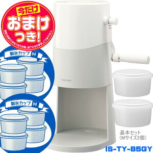 yyzy2025Nfz蓮ӂӂƂႩX CgO[ IS-TY-B5GY | XJbv8(HS-19M)ǉ | hEVV 1Nۏ