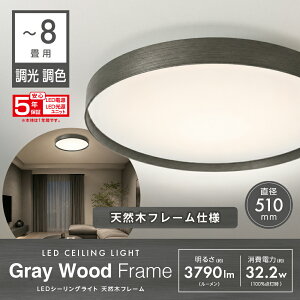 �y�����y�z�V�R�ؘg 5�N�ۏ� RW51-B08DS �h�E�V�V�� ���~�i�X LuminousLED LED�V�[�����O���C�g �O���[�E�b�h�t���[�� �`8���p �������F | ������� �����R�� �ȃG�l �V��Ɩ� �^�C�}�[