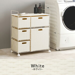  h[S 65cm S3F | RAN-2458 ^ pi 荞OK 5t hf LX^[t