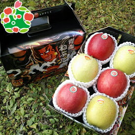 【予約!! 手提げ箱】 葉とらずふじ/王林 手提げ箱大玉6玉入 青森りんご プレゼント ギフト 歳暮 内祝い 贈答品