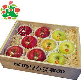 【予約!! ギフト木箱】販売開始 葉とらずふじ/王林ギフト木箱3kg 青森りんご プレゼント ギフト 内祝い 贈答品