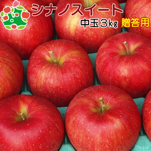 \ 10{`11{딭\  p X VimXC[g I  Mtg 3kg  Yn Y Ε Ε j v[g j Ԃ i Hו { 