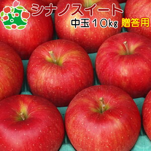 \ 10{`11{딭\  p X VimXC[g I  Mtg 10kg  Yn Y Ε Ε j v[g j Ԃ i Hו { 