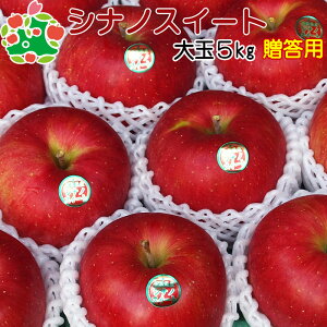  p X VimXC[g I  Mtg 5kg  Yn Y Ε Ε j v[g j Ԃ i Hו {  ʕ