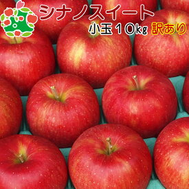 シナノスイート 小玉 キズあり 10kg 送料無料 産地直送 産直 自宅用 ワケあり お試し 試食 食べ物 旬の くだもの 果物