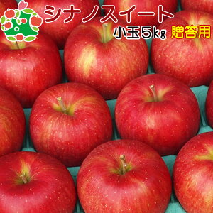  p X VimXC[g I  Mtg 5kg  Yn Y Ε Ε j v[g j Ԃ i Hו {  ʕ