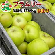 ブラムリー家庭用キズあり10kg りんご 訳あり 青森 送料無料 産地直送 自宅用 ワケあり お試し くだもの …