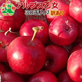 楽天市場 小さい リンゴの通販