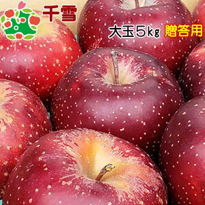 I5kg Ε j v[g Mtg Ԃ i