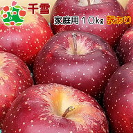 千雪 家庭用キズあり10kg 青森りんご 自宅用 ワケあり お試し