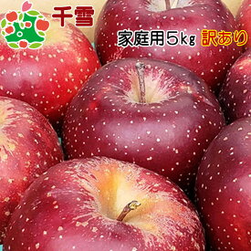 大特価セール！！20%off！千雪家庭用キズあり5kg 青森りんご 自宅用 ワケあり お試し