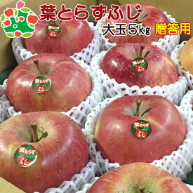 葉とらずふじ特選大玉5kg 青森りんご 内祝い プレゼント ギフト お返し 贈答品