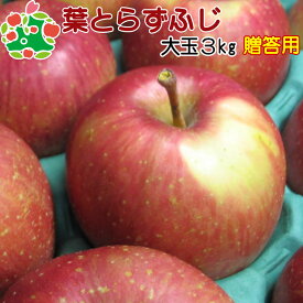 葉とらずふじ特選大玉3kg 青森りんご 歳暮 内祝い プレゼント ギフト お返し 贈答品