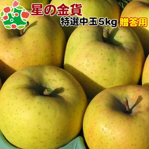 ̋ݓI5kg X Ε j v[g Ԃ i