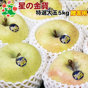 ̋ݓI5kg X Ε j v[g Mtg Ԃ i