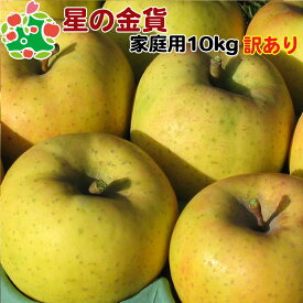 大特価セール！！20%off！星の金貨家庭用キズあり10kg 青森りんご 自宅用 ワケあり お試し