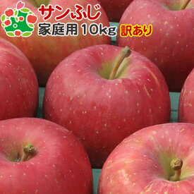 【訳あり】 りんご サンふじ 家庭用 キズあり 青森県産 10kg 送料込