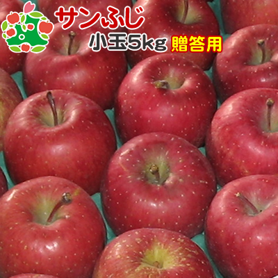 11月中旬収穫 りんご 贈答用 新品同様 青森 サンふじ 5kg 特選 ギフト 生まれのブランドで 小玉