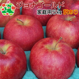 ジョナゴールド家庭用キズあり5kg 青森りんご 自宅用 ワケあり お試し