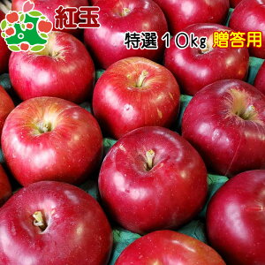 \ 10{`11{딭\ gʓI10kg X Yn v[g Mtg i