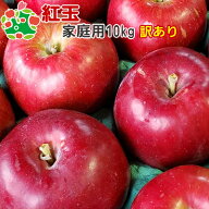 紅玉 家庭用キズあり10kg 青森 訳あり 産地直送 自宅用 お試し