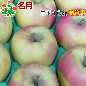 y\z11{`\ @p X  I  Mtg 10kg  Yn Y Ε Ε j v[g j Ԃ i Hו {  ʕ