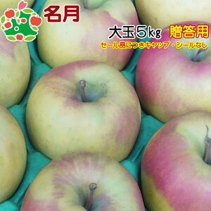 【予約】11月上旬頃〜発送予定 名月 特選 大玉 ギフト 5kg 送料無料 産地直送 産直 御歳暮 歳暮 内祝い プレゼント 内祝 お返し 贈答品 食べ物 旬の くだもの 果物