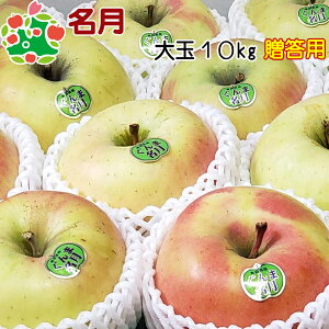 【予約】11月上旬頃〜発送予定 名月 特選 大玉 ギフト 10kg 送料無料 産地直送 産直 御歳暮 歳暮 内祝い プレゼント 内祝 お返し 贈答品 食べ物 旬の くだもの 果物