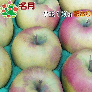 ʃLY10kg X ƒp 󂠂 Yn p 