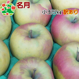 名月 小玉キズあり5kg 訳あり 青森りんご 産地直送 自宅用 お試し