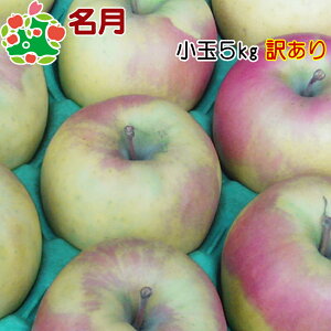  ʃLY5kg 󂠂 X Yn p 